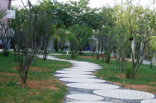 江西的自考本科不承認嗎