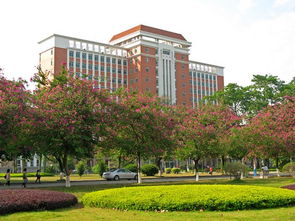 2020華南師范大學(xué)自考本科