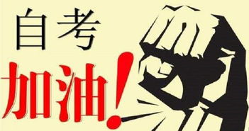 本科退學(xué)去自考