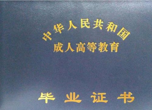 函授本科可以自考專升本考試科目