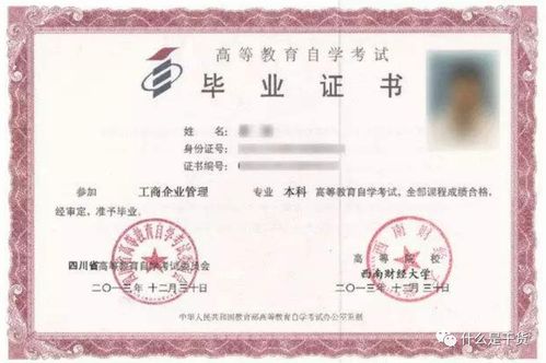 小自考本科什么時候能考完