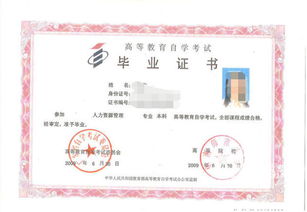 書(shū)法自考本科學(xué)校