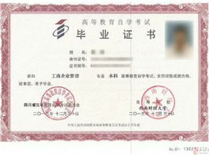 成人教育自考本科