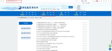 自考本科如何提交論文