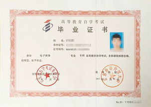 全日制本科申請自考