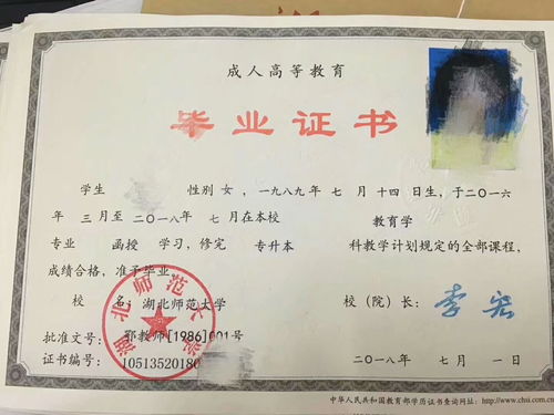 ?？飘厴I(yè)還能自考本科嗎