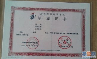 川大自考本科網(wǎng)絡(luò)