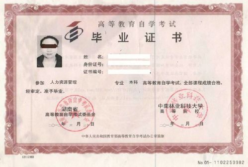 自考本科和函授本科用處限制