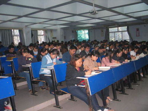 自考函授大專本科算本科嗎