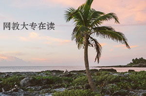 在讀專科生可以報自考本科段嗎