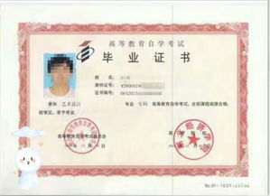 自考本科在哪里報(bào)名的比較好