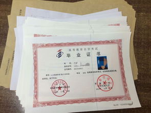 自考本科北京檔案