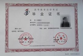 自考本科會(huì)計(jì)和金融