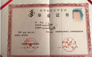 自考本科需要應(yīng)屆