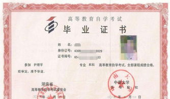 土木專業(yè)自考本科