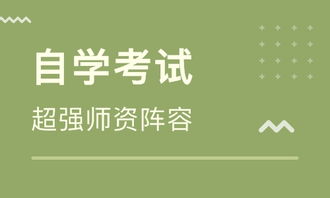 石家莊自考本科輔導班