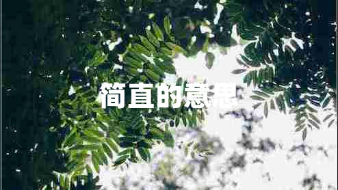 簡(jiǎn)直的意思