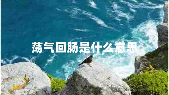 蕩氣回腸是什么意思