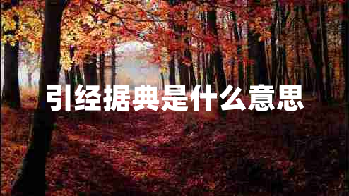 引經(jīng)據(jù)典是什么意思