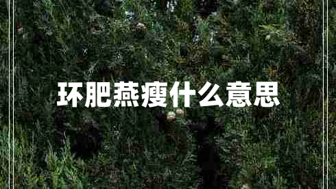 環(huán)肥燕瘦什么意思 環(huán)肥燕瘦什么意思