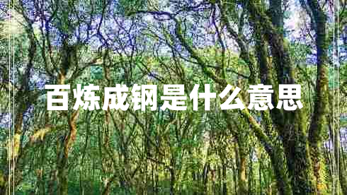 百煉成鋼是什么意思