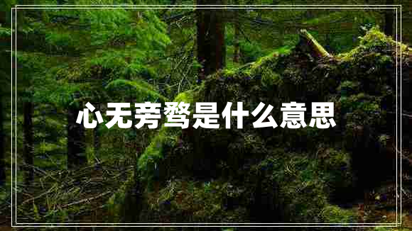 心無旁騖是什么意思