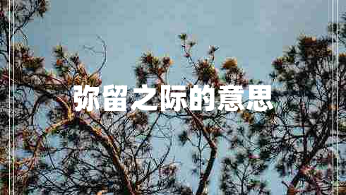 彌留之際的意思 彌留之際的意思