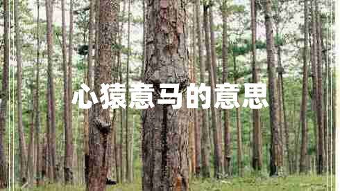 心猿意馬的意思 心猿意馬的意思