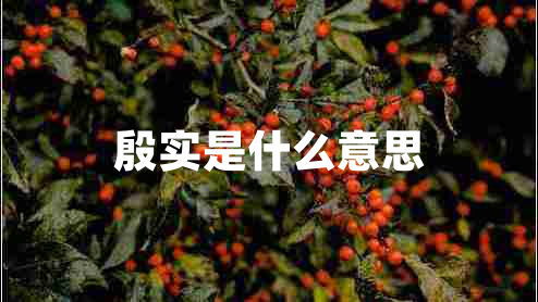 殷實(shí)是什么意思