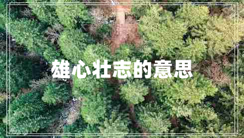 雄心壯志的意思