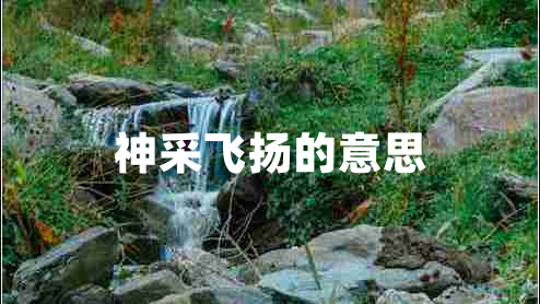 神采飛揚(yáng)的意思