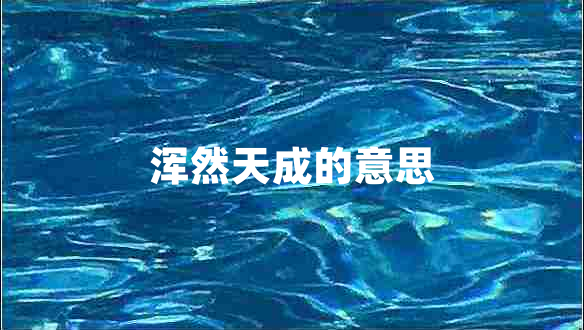 渾然天成的意思