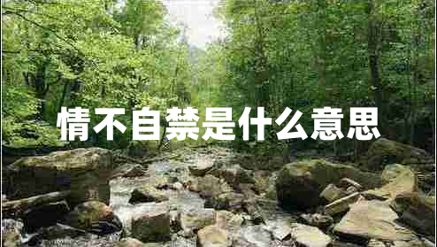情不自禁是什么意思