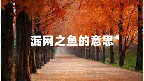 漏網(wǎng)之魚的意思