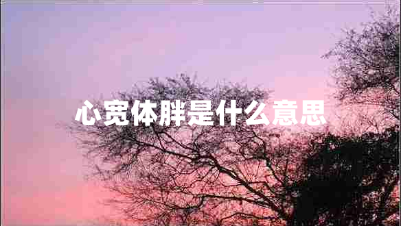 心寬體胖是什么意思