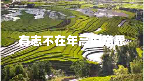 有志不在年高的意思