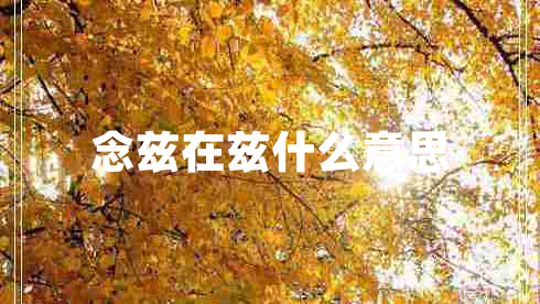 念茲在茲什么意思 念茲在茲什么意思