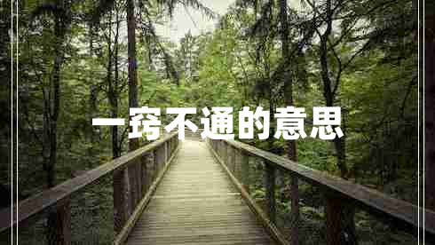 一竅不通的意思