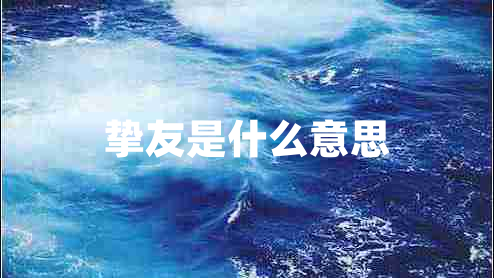 摯友是什么意思