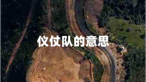 儀仗隊(duì)的意思