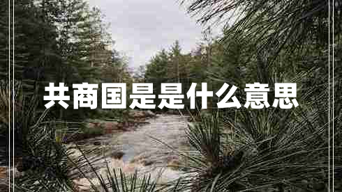 共商國(guó)是是什么意思