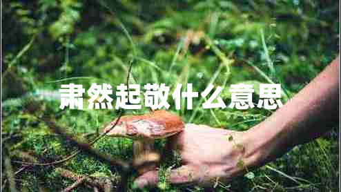 肅然起敬什么意思