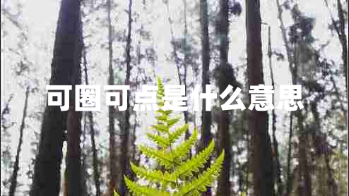 可圈可點(diǎn)是什么意思