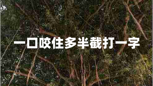 一口咬住多半截打一字 一口咬住多半截打一字