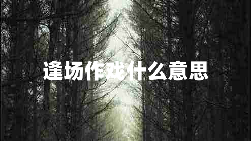 逢場(chǎng)作戲什么意思