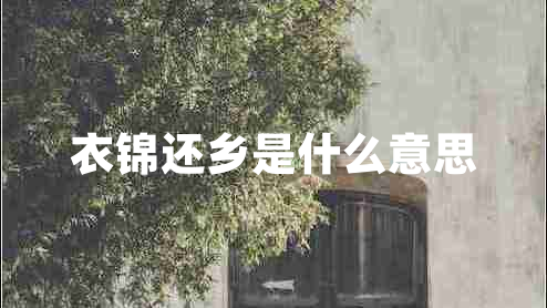 衣錦還鄉(xiāng)是什么意思