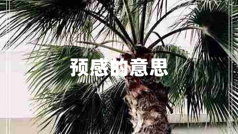 預(yù)感的意思