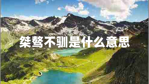 桀驁不馴是什么意思