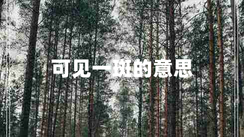 可見一斑的意思 可見一斑的意思