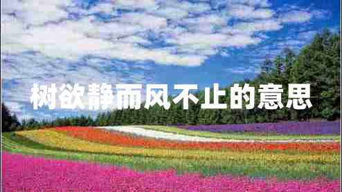 樹欲靜而風不止的意思 樹欲靜而風不止的意思